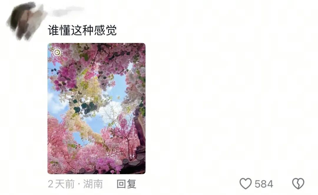 春天，我和你“拼”了！“可以看看你们手机里的春天吗？”