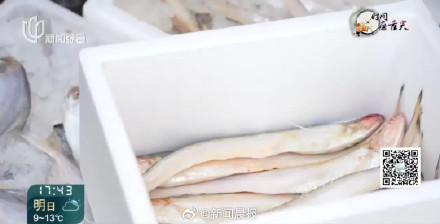 "价钿辣手"？上海刀鱼价格跌幅达6成！刀鱼价格回落上海有人一口气买40斤