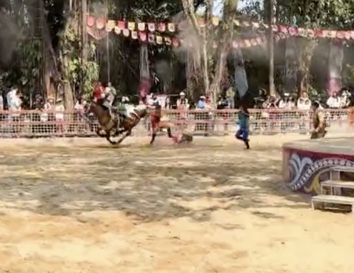 广州长隆野生动物世界表演出意外，坠马被拖行女骑手回应：我很好，谢谢大家关心