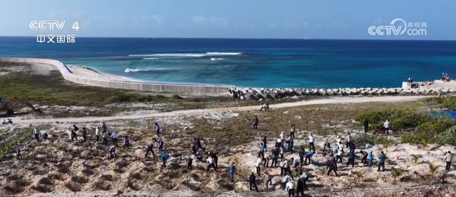 植树造林建设美丽三沙 让天空更晴朗、海水更清澈、岛礁更翠绿