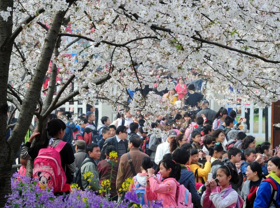 热议 | 又一长假落实！多地官宣！连休8天！网上却吵翻了！