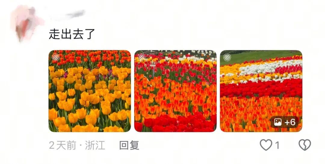 春天，我和你“拼”了！“可以看看你们手机里的春天吗？”