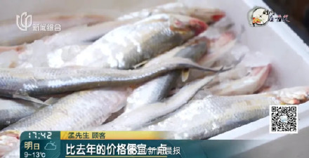 "价钿辣手"？上海刀鱼价格跌幅达6成！刀鱼价格回落上海有人一口气买40斤