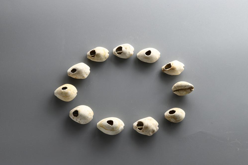 陕西蒋刘遗址发现西周时期遗存