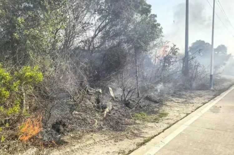 航拍下，超1500平方米农田被烧，纵火者正在追查！春季防火请注意