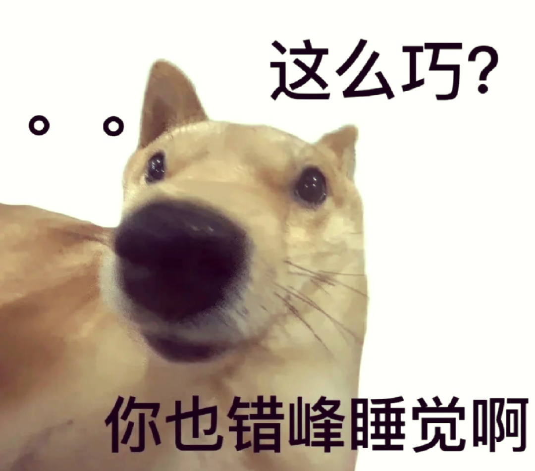 今天起，睡眠一定要调整一下——