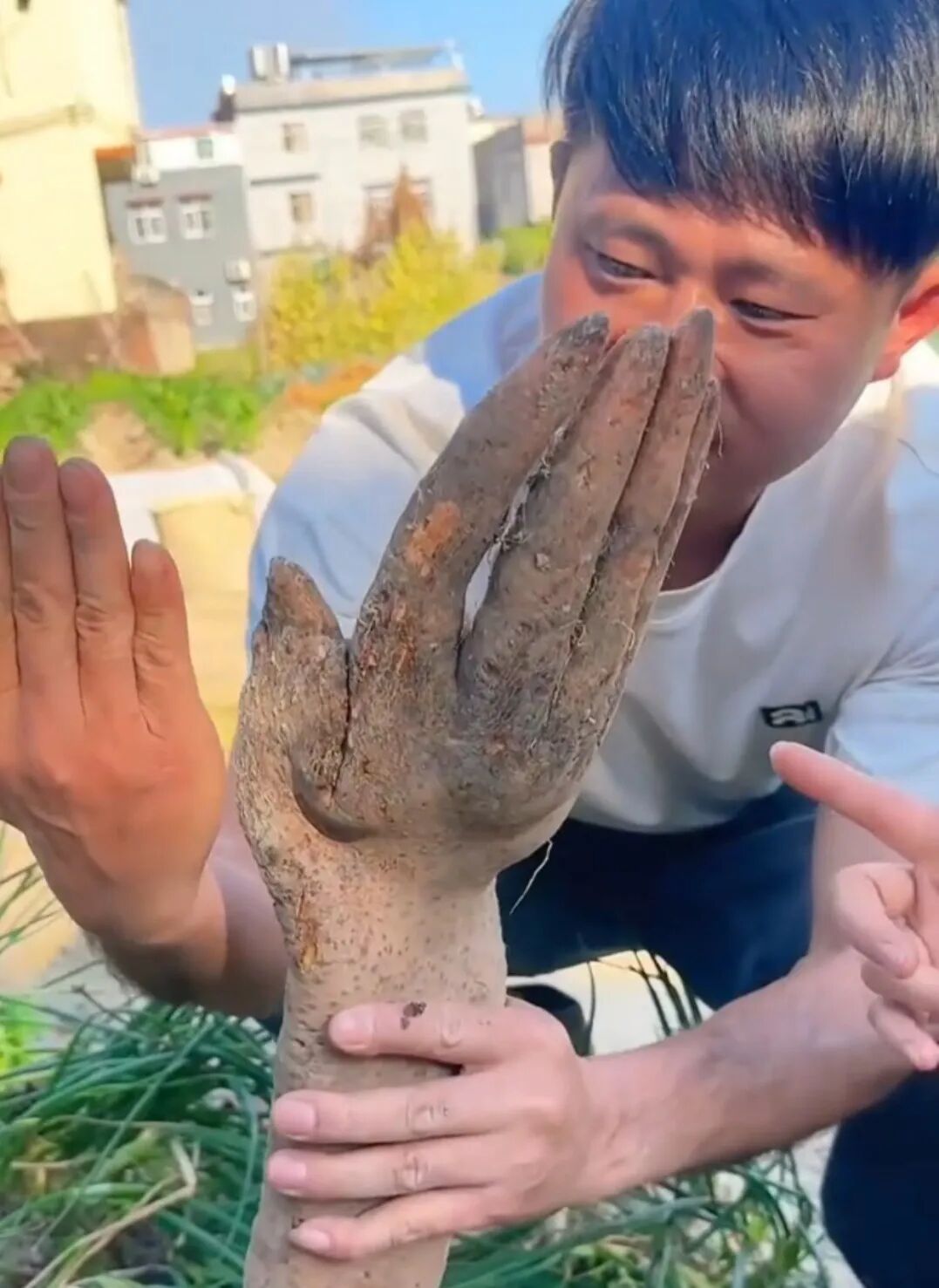 广东一老人在菜地挖到“淮山手”，当场吓了一跳！