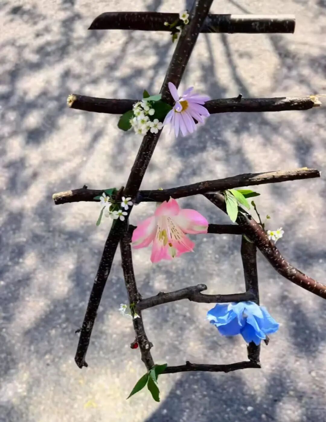 春天，我和你“拼”了！“可以看看你们手机里的春天吗？”