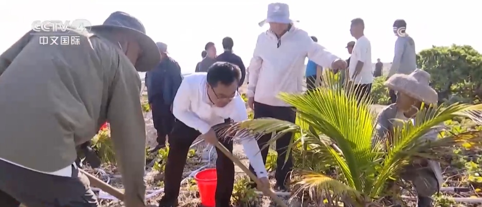 植树造林建设美丽三沙 让天空更晴朗、海水更清澈、岛礁更翠绿