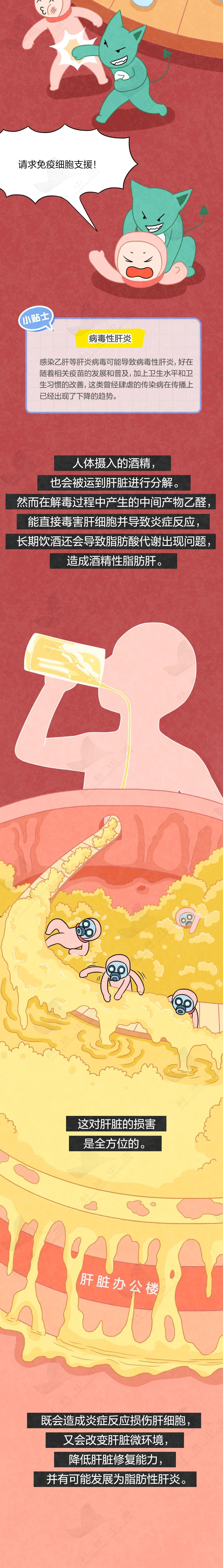 肝透支有多可怕？全过程曝光