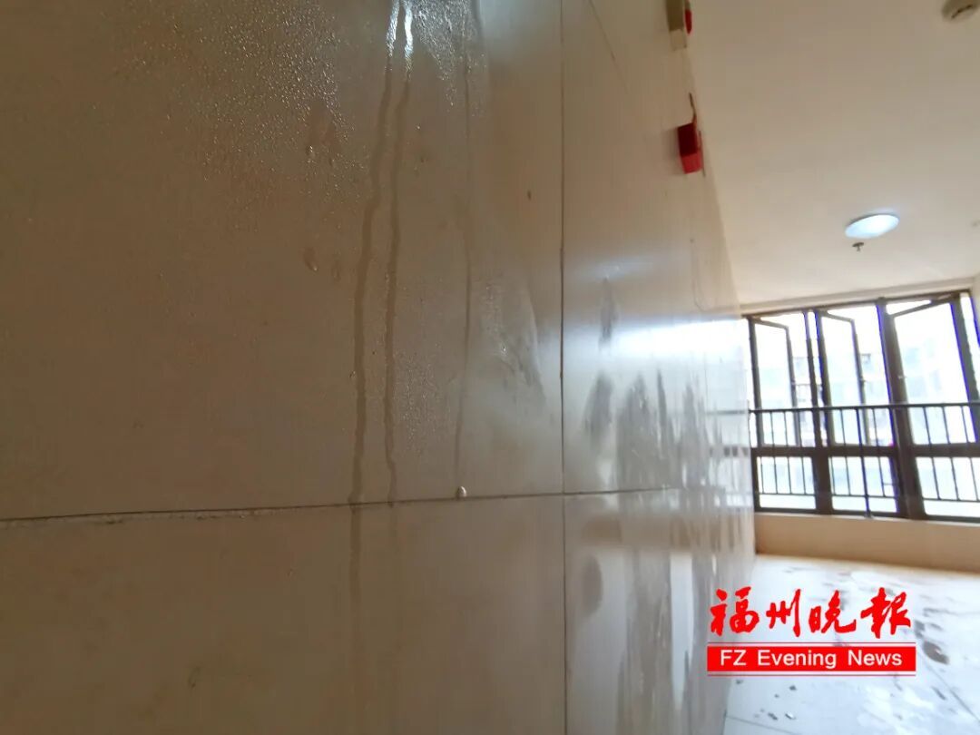 关窗！关窗！冷空气即将抵达福建！回南天也要来了