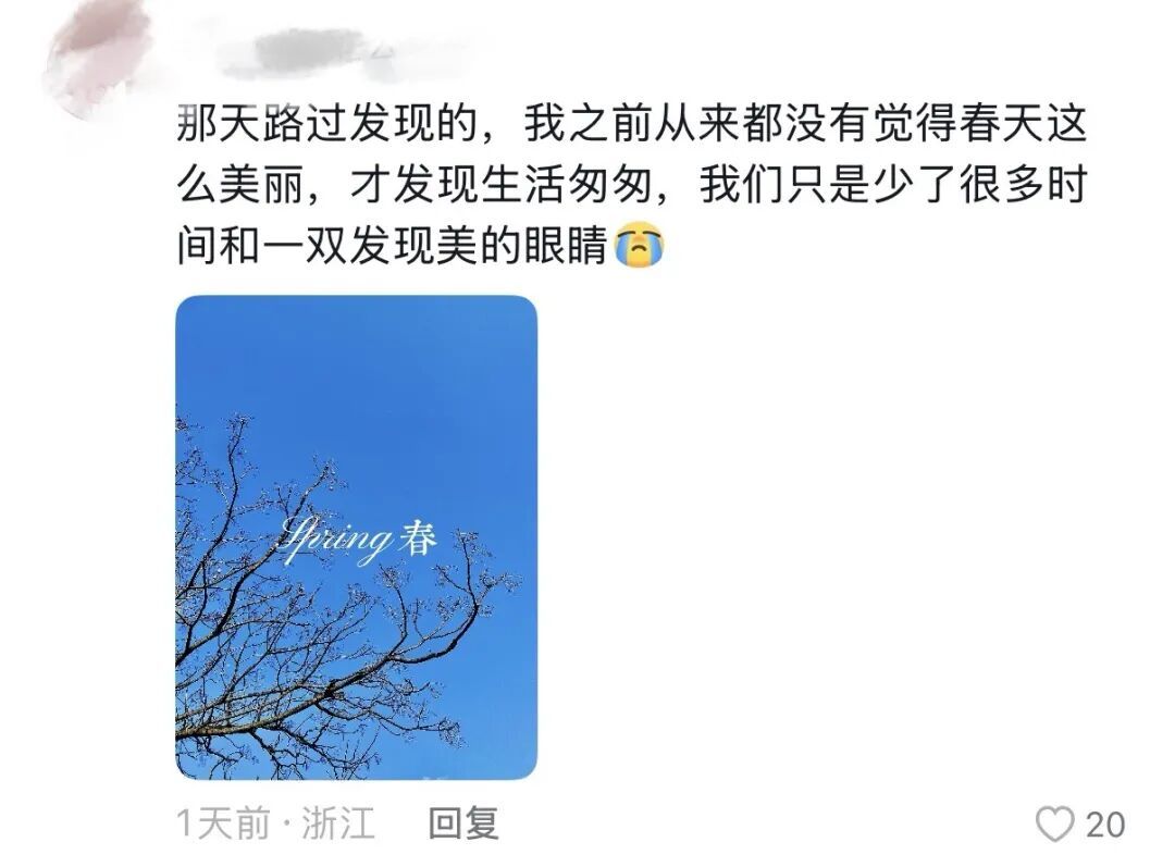 春天，我和你“拼”了！“可以看看你们手机里的春天吗？”