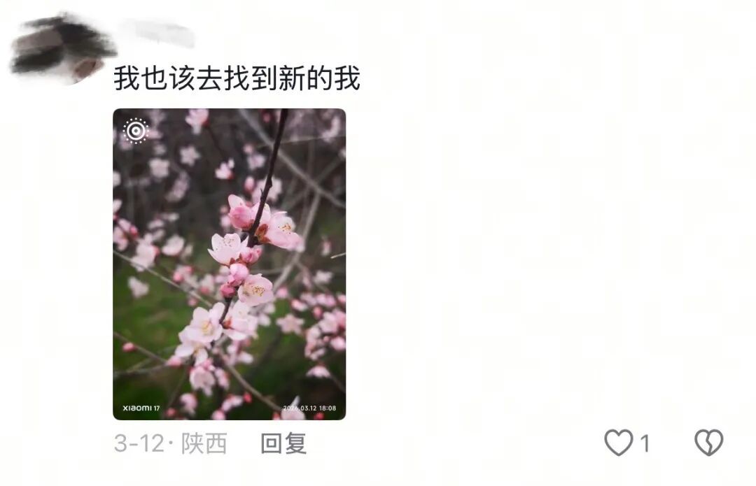 春天，我和你“拼”了！“可以看看你们手机里的春天吗？”