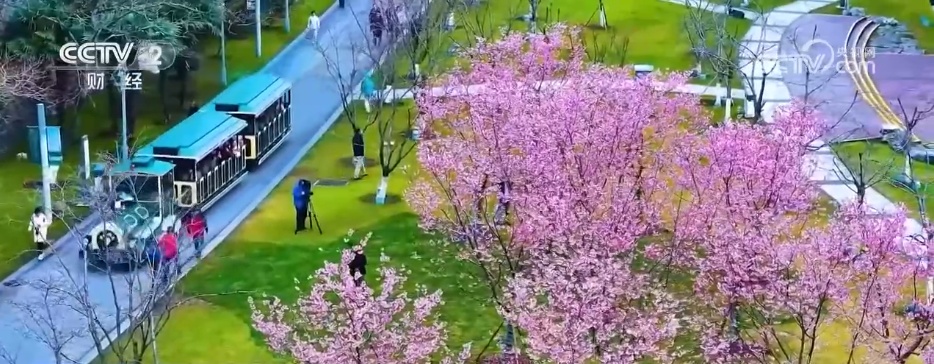 多地首个春假即将开启 文旅交通暖心“大礼包”助力出游