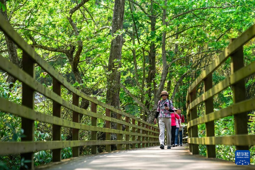 云南坝美村：农文旅融合焕发新活力