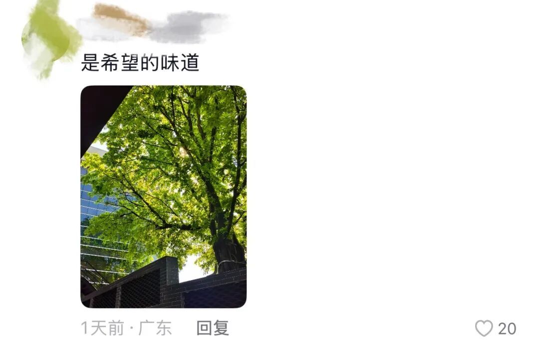 春天，我和你“拼”了！“可以看看你们手机里的春天吗？”