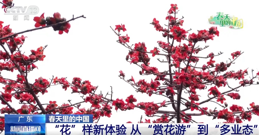 共赴浪漫的春日之约 “花”样新体验让“赏花游”延伸为促消费“活力链条”