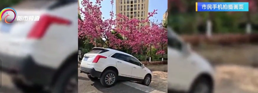 远看是斜坡，近看是陷阱！司机当场“骑虎难下”