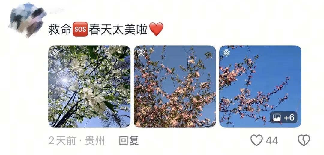 春天，我和你“拼”了！“可以看看你们手机里的春天吗？”