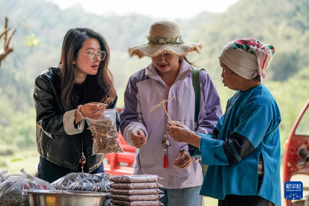 云南坝美村：农文旅融合焕发新活力