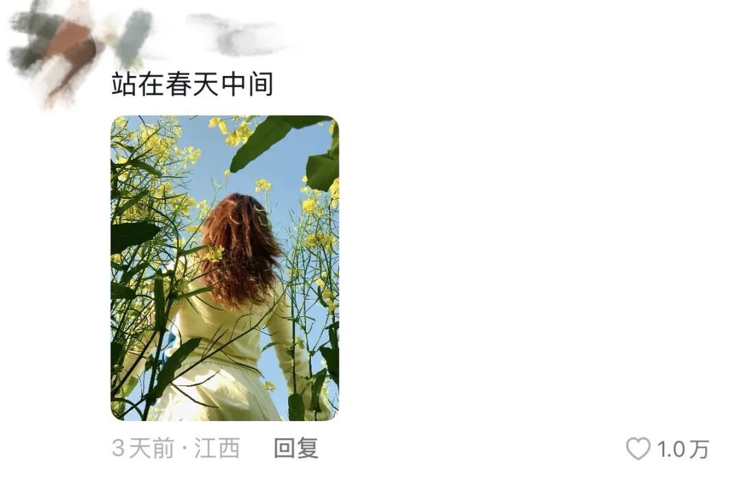 春天，我和你“拼”了！“可以看看你们手机里的春天吗？”