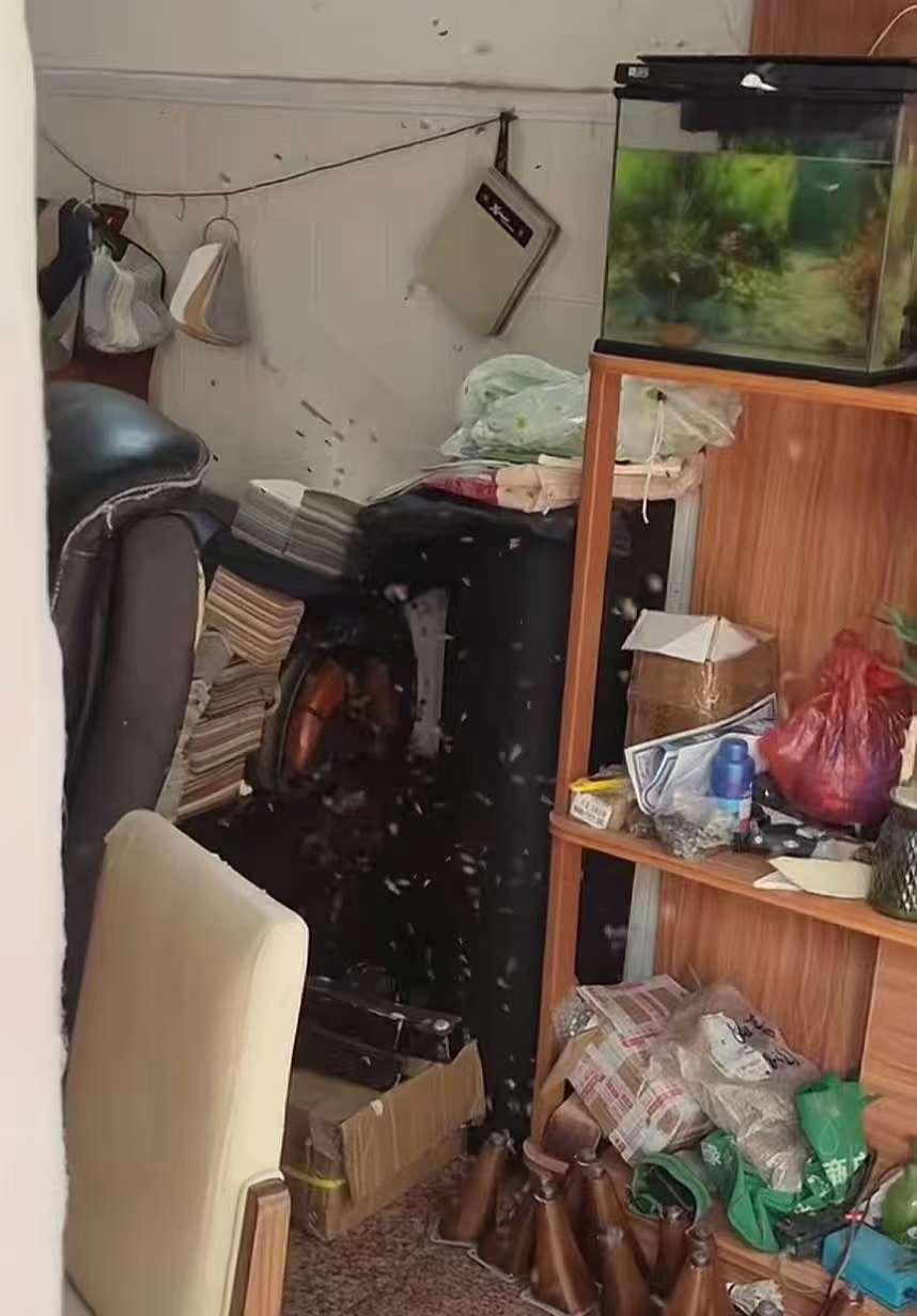 茂名一地居民区涌入大量蜜蜂，因农户喷农药引发？当地：蜜蜂或因趋光性等因素迷路误闯