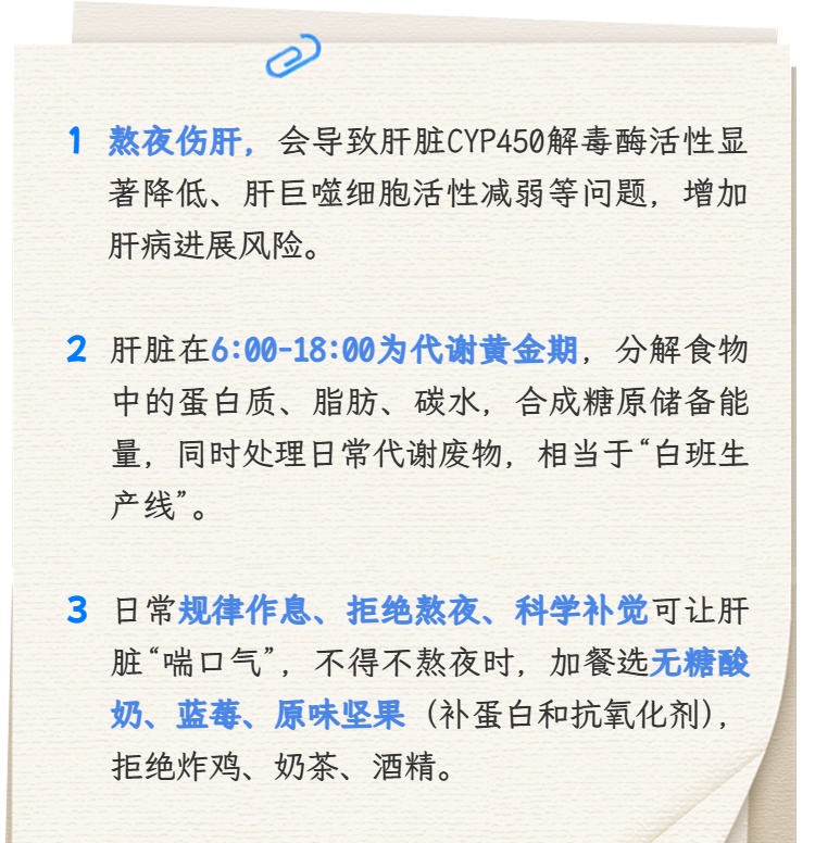 告别不必要的熬夜，从今天开始守护肝脏健康