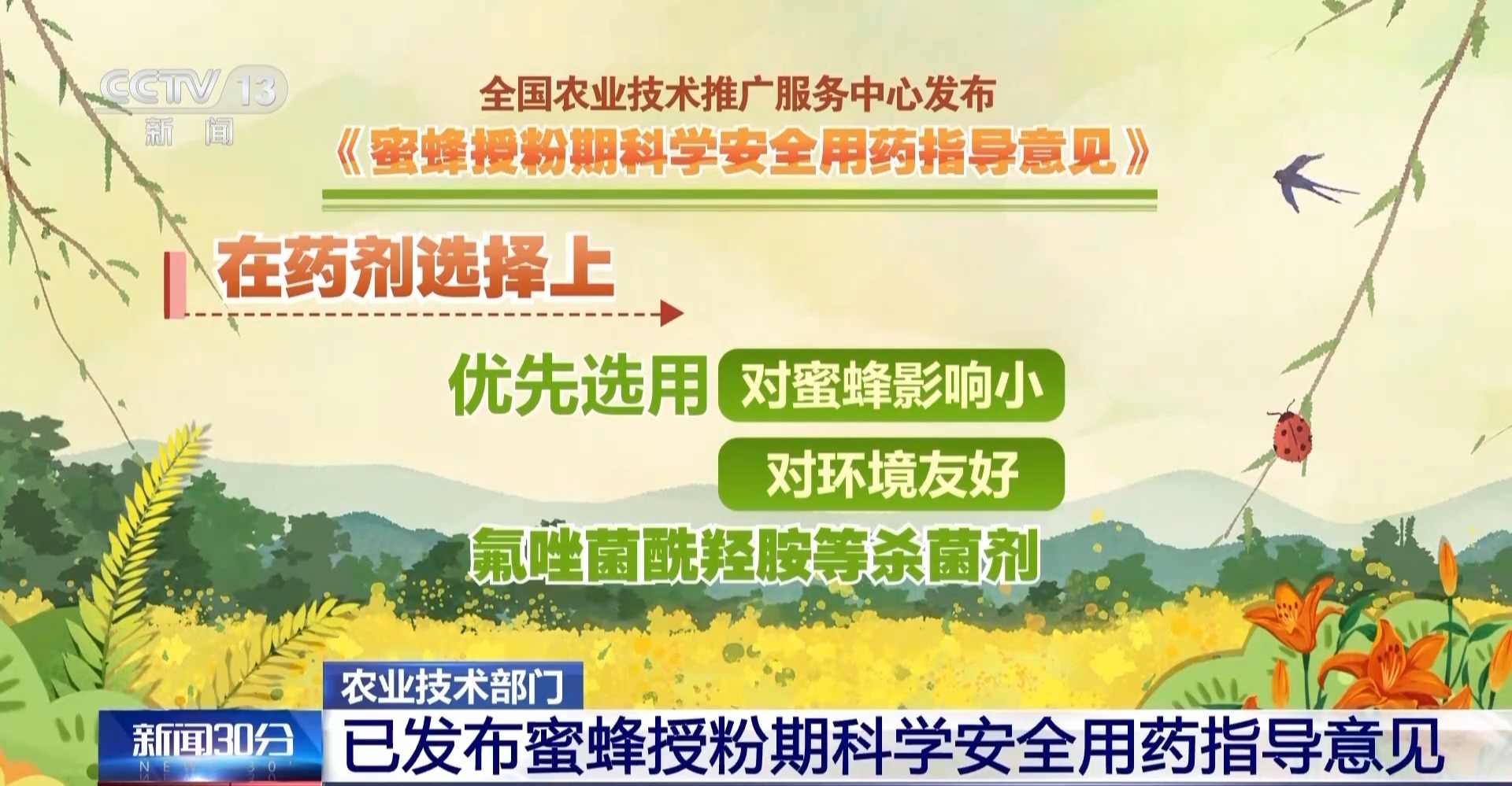 油菜花期打药如何兼顾保护蜜蜂？农业农村部回应