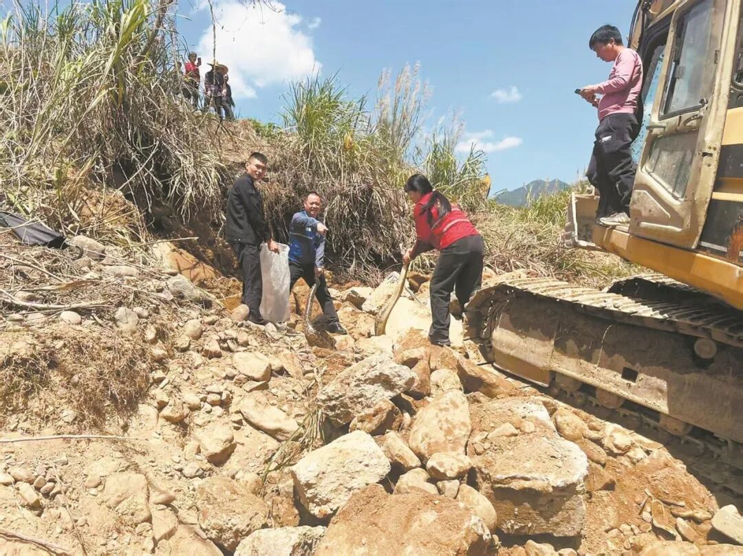 福建一地修河堤挖出3条大蟒蛇，最大一条长4米重50多斤