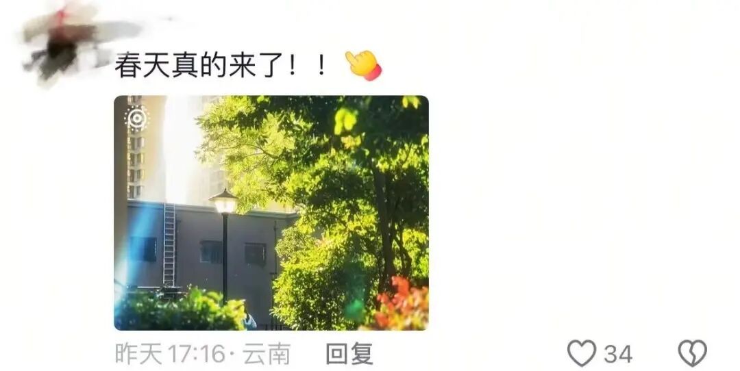 春天，我和你“拼”了！“可以看看你们手机里的春天吗？”