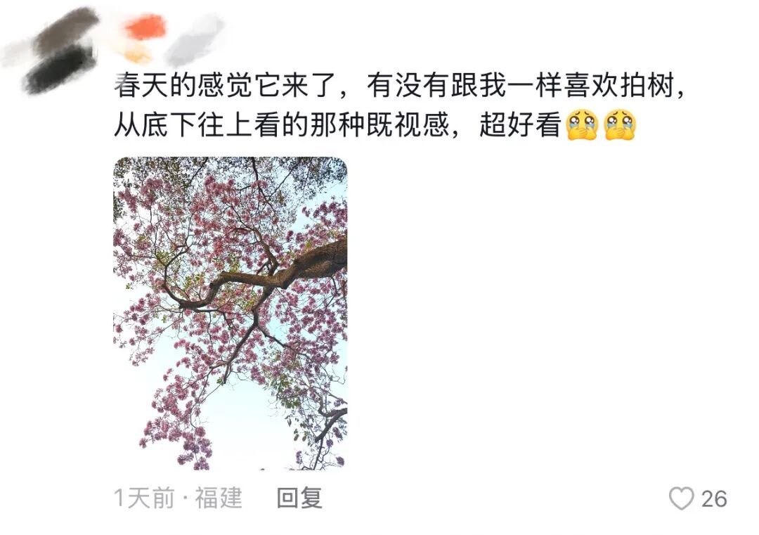 春天，我和你“拼”了！“可以看看你们手机里的春天吗？”