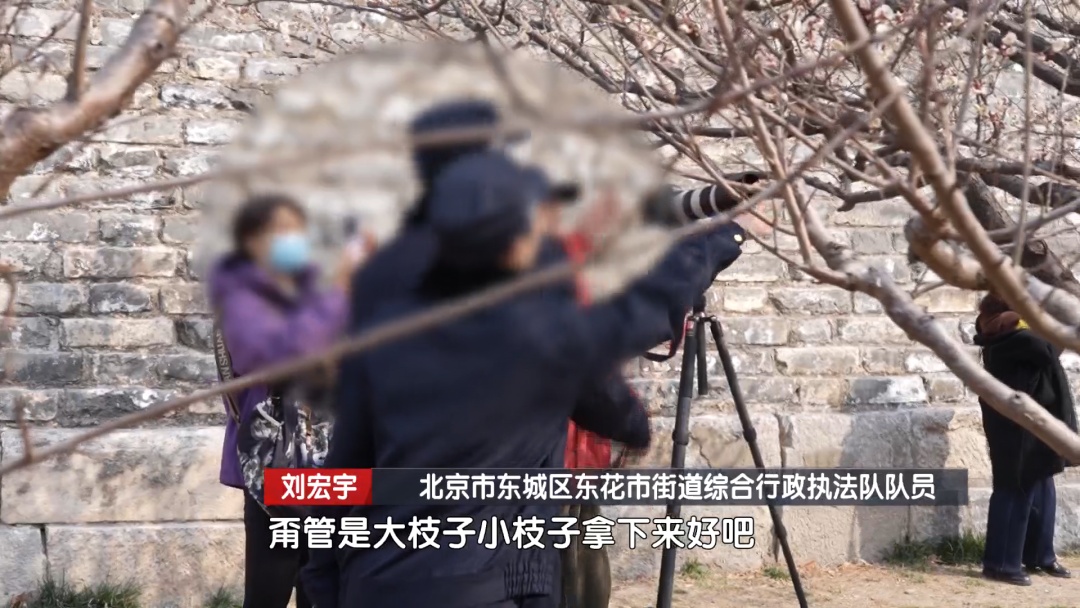 北京城管在身边：春日赏花正当时 首都城管全力做好文明游园执法保障