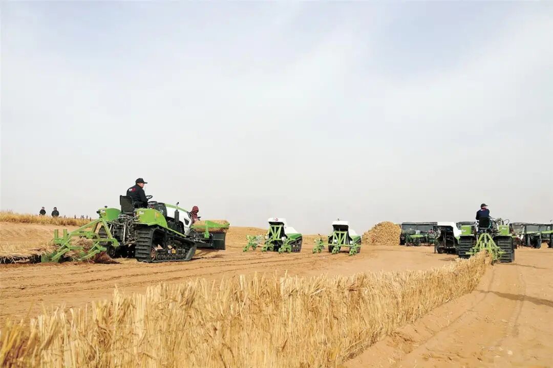 内蒙古春季防沙治沙工作启动