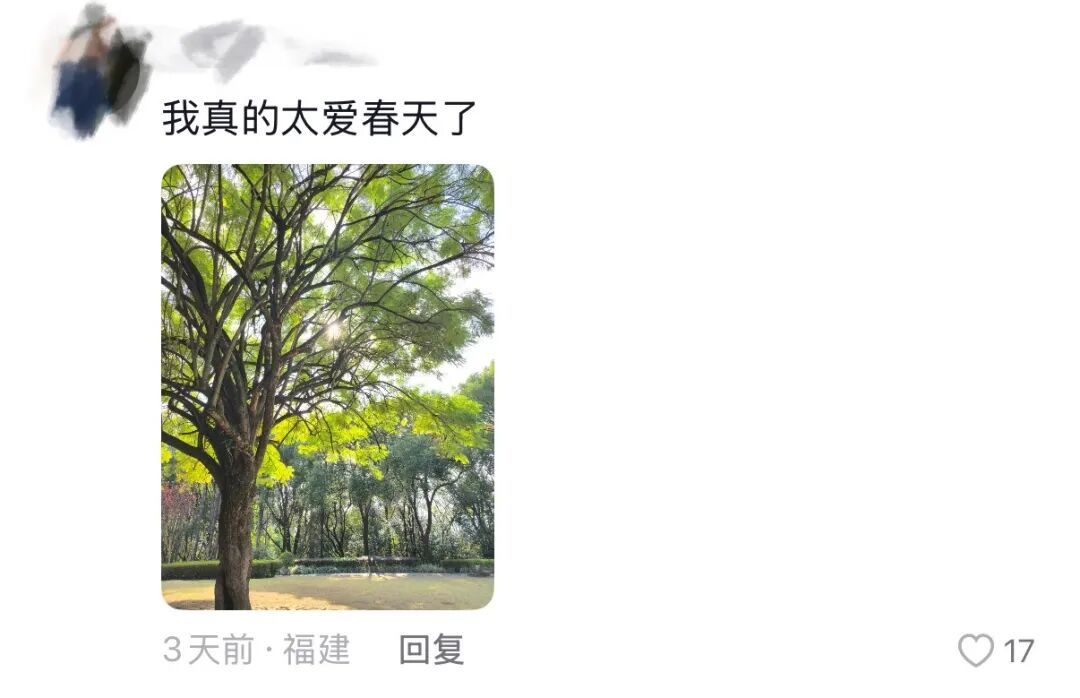 春天，我和你“拼”了！“可以看看你们手机里的春天吗？”