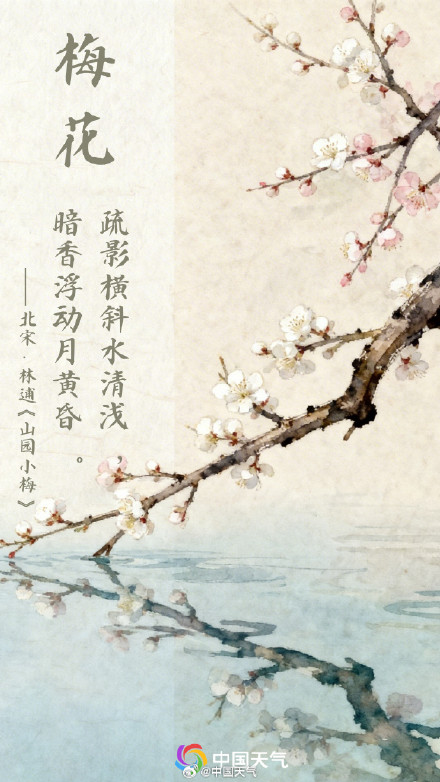 春花与诗词