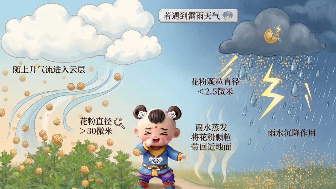 轰隆隆！天津春雷来了！科普知识要点在这里↓