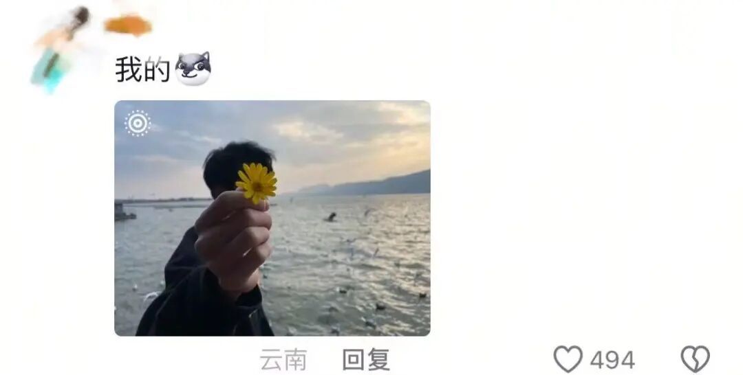 春天，我和你“拼”了！“可以看看你们手机里的春天吗？”