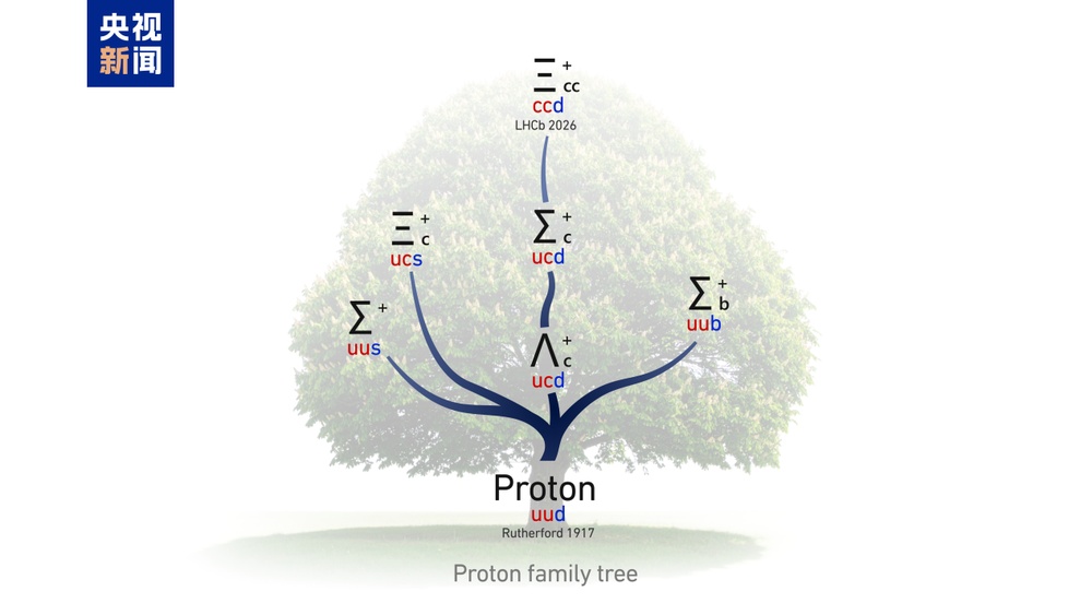 我国科研团队发现全新粒子 为物质探索打开新大门