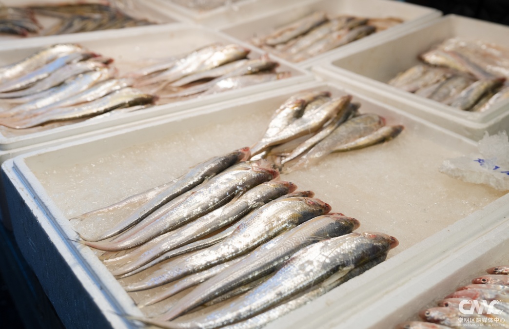 "价钿辣手"？上海价格跌幅达60%！有人一口气买40斤…错过等一年