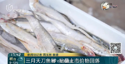 "价钿辣手"？上海刀鱼价格跌幅达6成！刀鱼价格回落上海有人一口气买40斤
