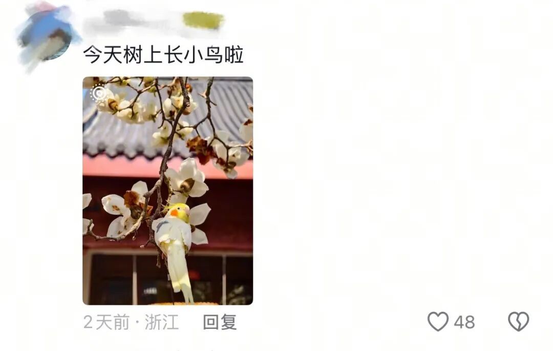 春天，我和你“拼”了！“可以看看你们手机里的春天吗？”