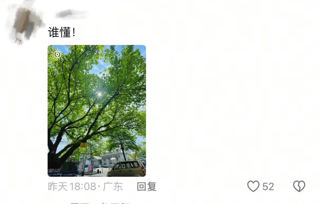 春天，我和你“拼”了！“可以看看你们手机里的春天吗？”