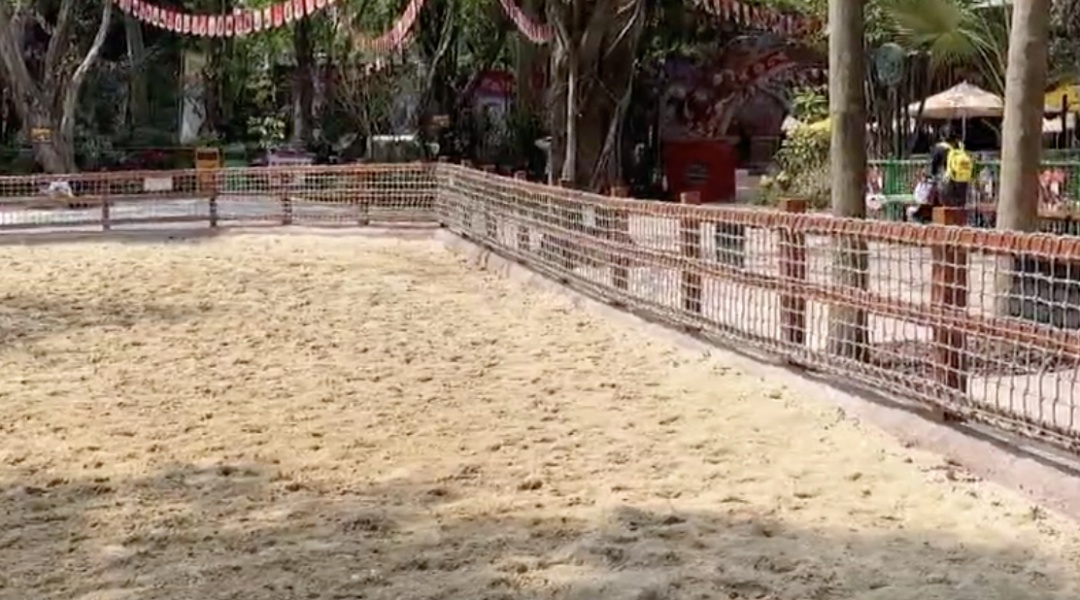 广州长隆野生动物世界表演出意外，坠马被拖行女骑手回应：我很好，谢谢大家关心