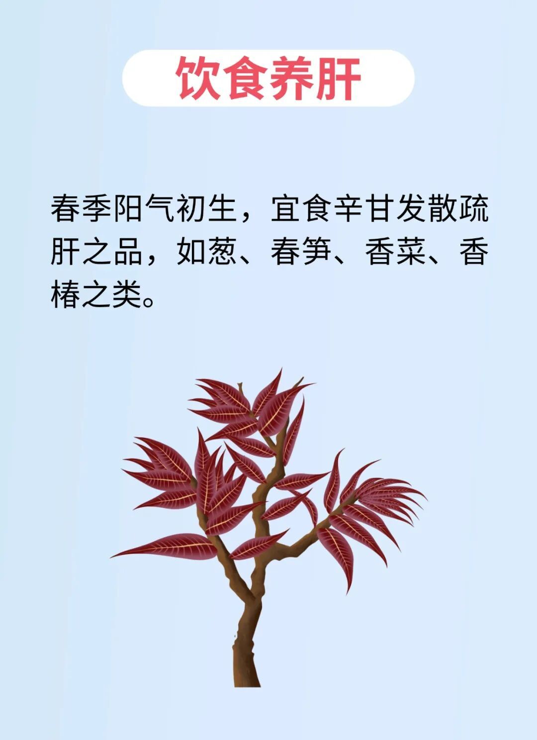 春应肝，跟着中医这样做，养好肝还能防病保健
