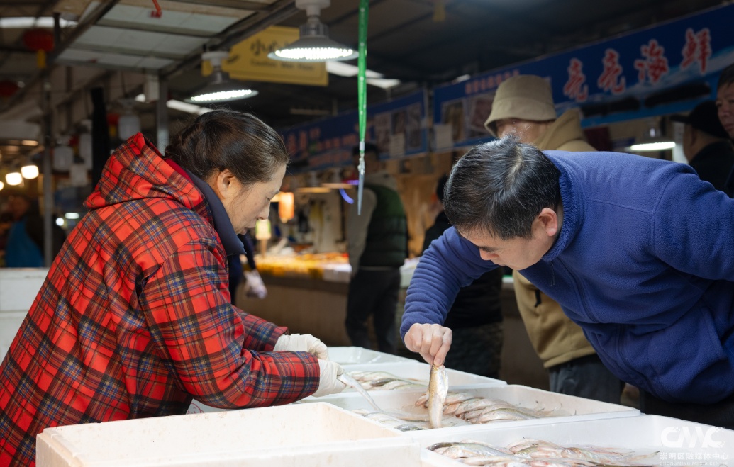 "价钿辣手"？上海价格跌幅达60%！有人一口气买40斤…错过等一年