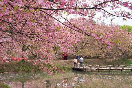 春季减肥微汗就好