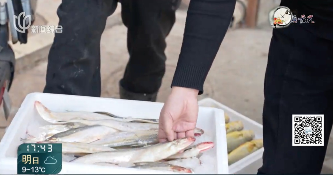 "价钿辣手"？上海价格跌幅达60%！有人一口气买40斤…错过等一年