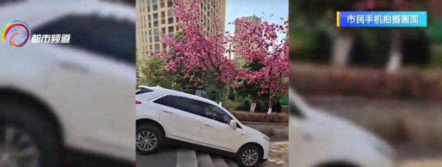 远看是斜坡，近看是陷阱！司机当场“骑虎难下”