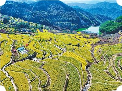 在乡间，唱越剧看山水