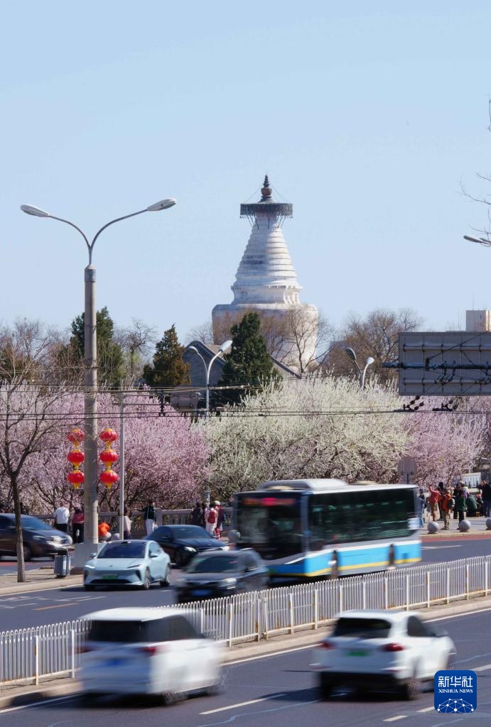 京华风暖桃花开